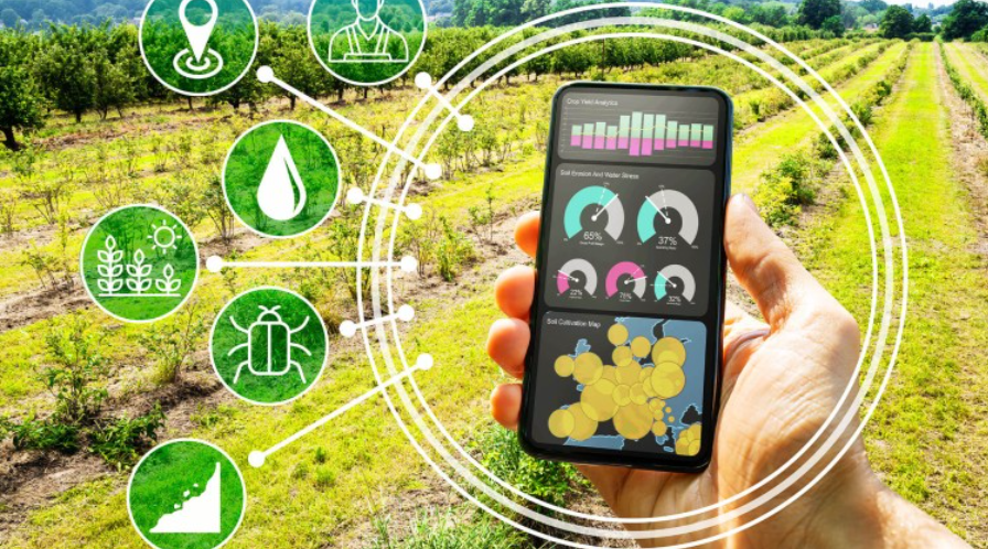 5 usos geniales de Data Science para empresas agro-tecnológicas